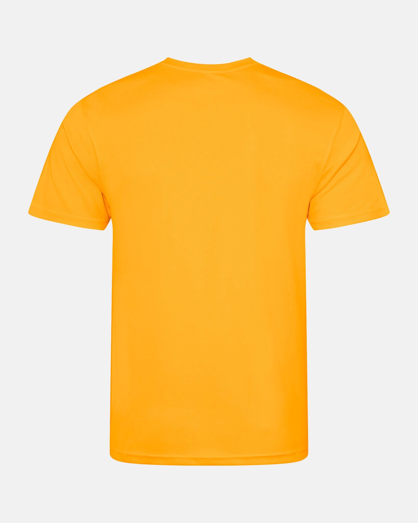 Diamond Pride Basic Functional T-Shirt "Munich Caribes", Baseball, gelb-DIAMOND PRIDE
