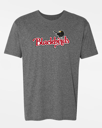 Diamond Pride Premium Functional T-Shirt 2.0 "Wolfsburg Blackbirds", Bird, heather dunkelgrau-DIAMOND PRIDE