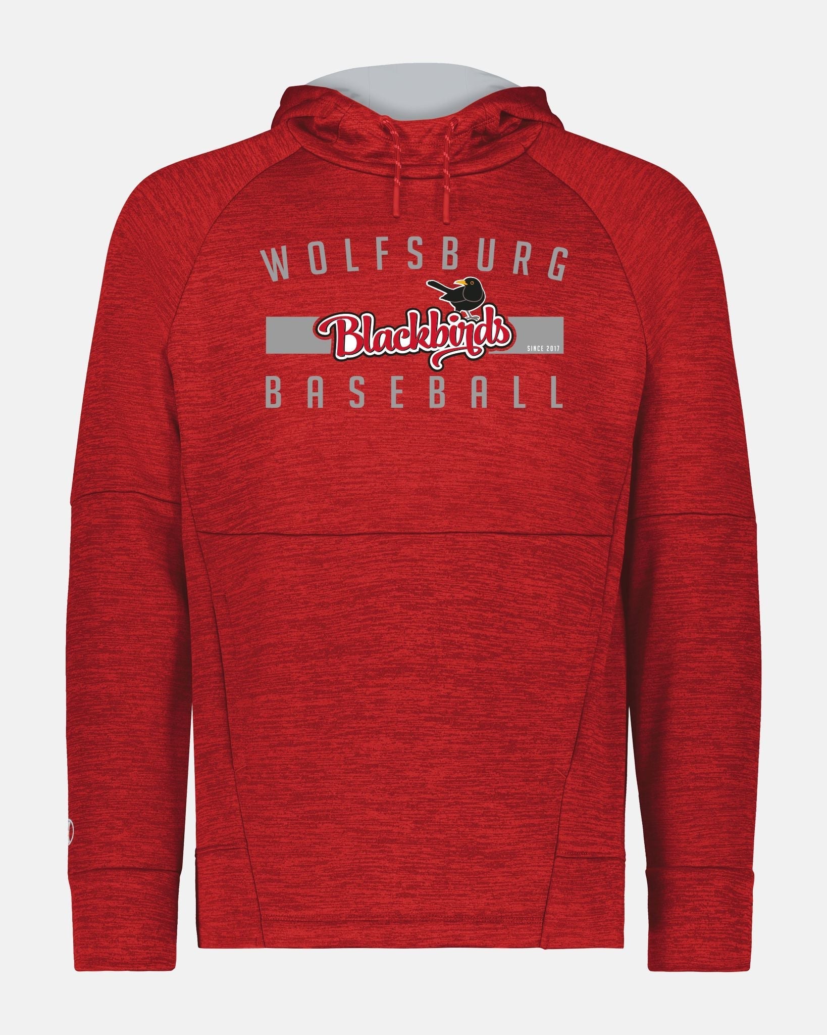 Holloway All-Pro Performance Fleece Hoodie "Wolfsburg Blackbirds", Script, heather rot-DIAMOND PRIDE