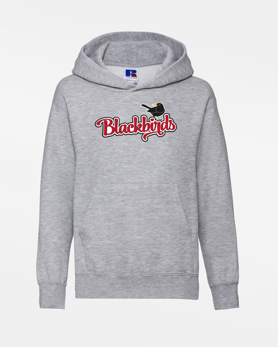 Russell Kids Basic Hoodie "Wolfsburg Blackbirds", Bird, heather grau-DIAMOND PRIDE