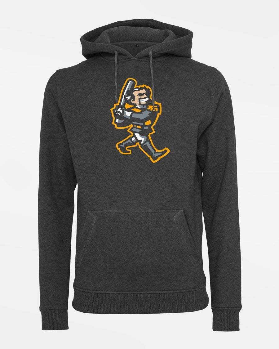 Diamond Pride Premium Hoodie "Füssen Royal Bavarians", Swing, dunkelgrau-DIAMOND PRIDE