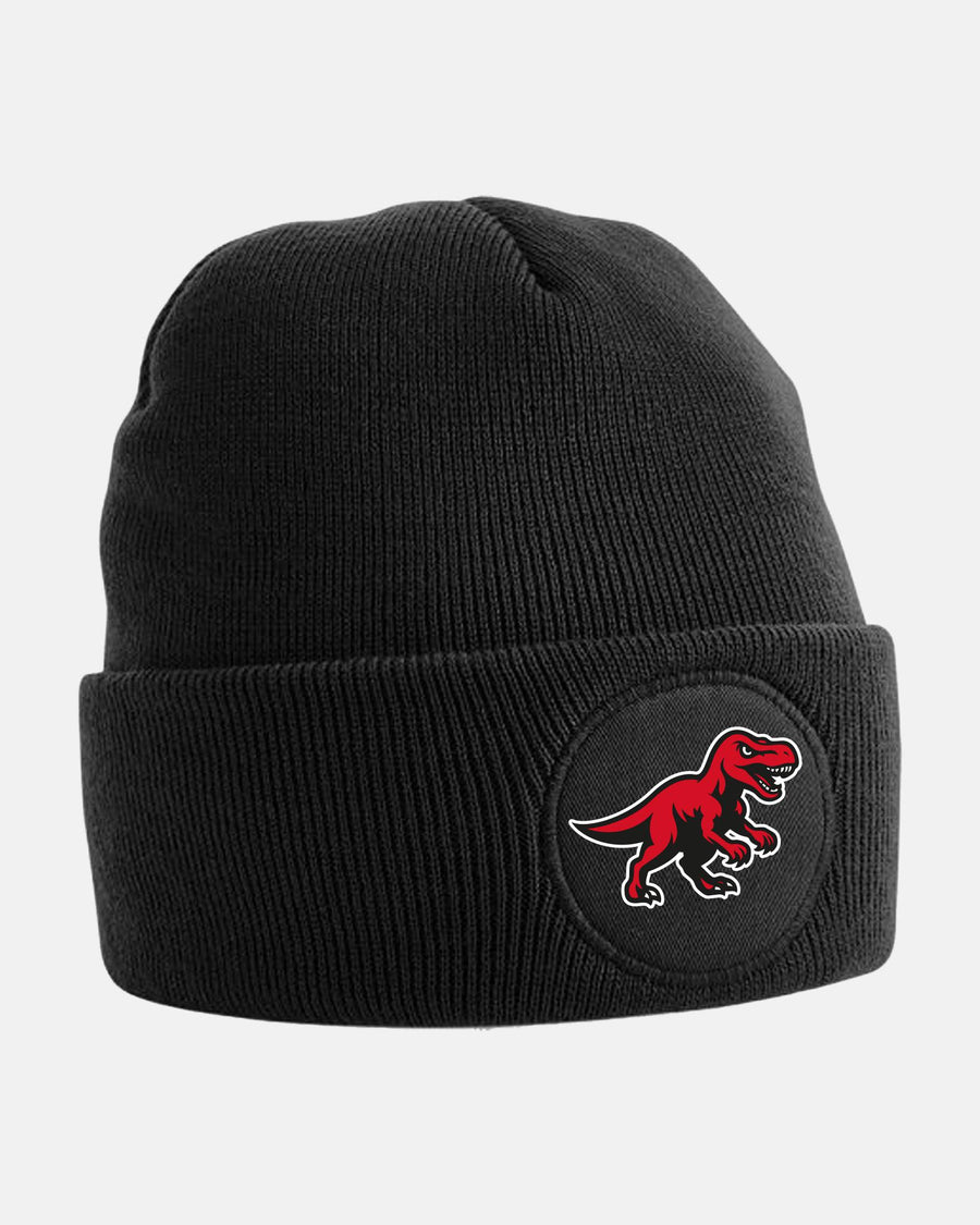 Diamond Pride Circle Patch Beanie "Altdorf Raptors", Dino, schwarz
