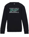 Diamond Pride Kids Premium Sweater "Niederlamitz Greens", Primary Logo, schwarz-DIAMOND PRIDE