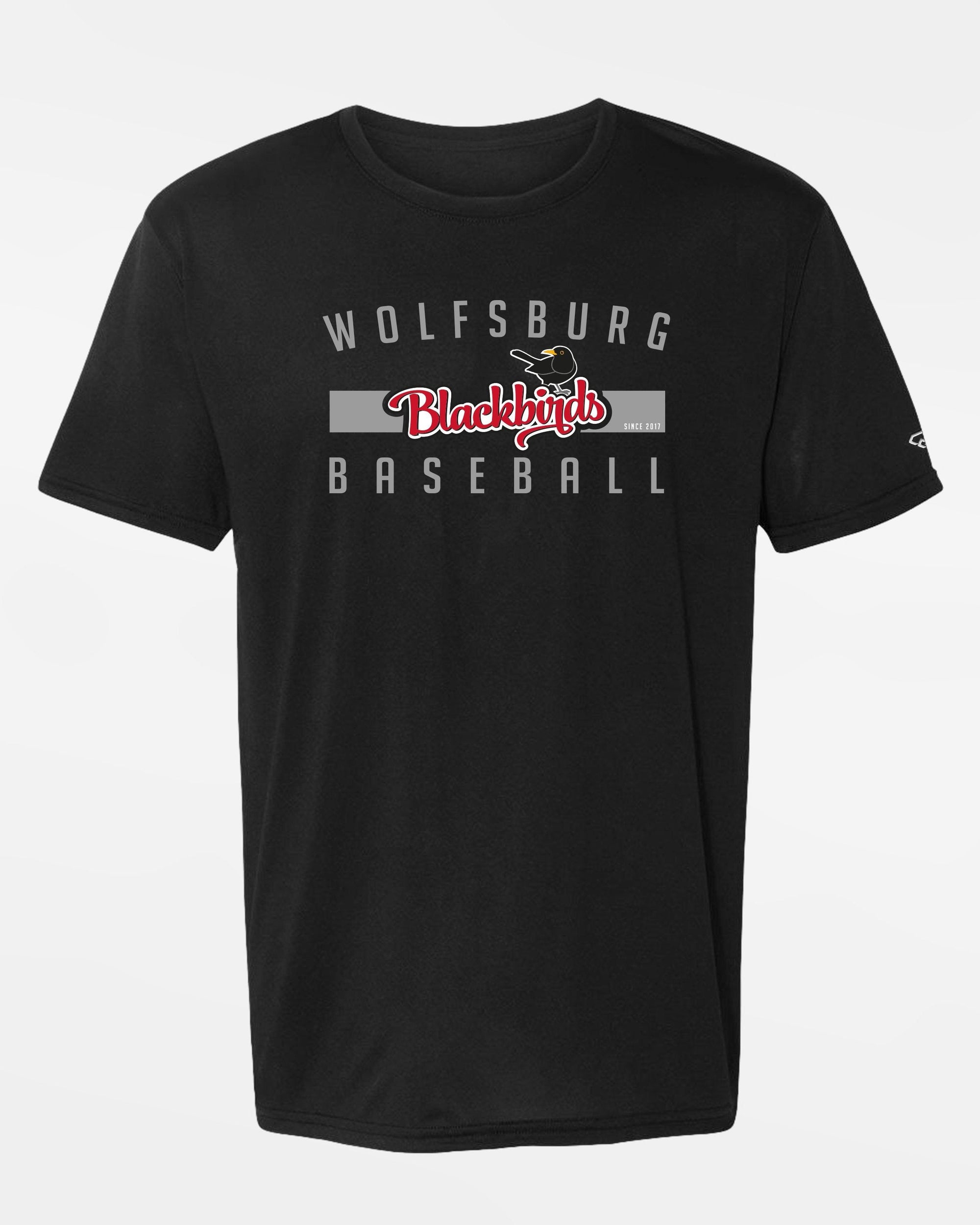 Diamond Pride Premium Functional T-Shirt 2.0 "Wolfsburg Blackbirds", Script, schwarz-DIAMOND PRIDE