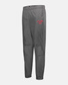 Holloway SeriesX Pant "Wolfsburg Blackbirds", W, dunkelgrau-DIAMOND PRIDE