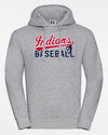 Russell Premium Heavy Hoodie "Gauting Indians", Baseball, heather grau-DIAMOND PRIDE