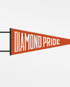 Diamond Pride Filz Pennant Flag "Diamond Pride", orange - schwarz-DIAMOND PRIDE