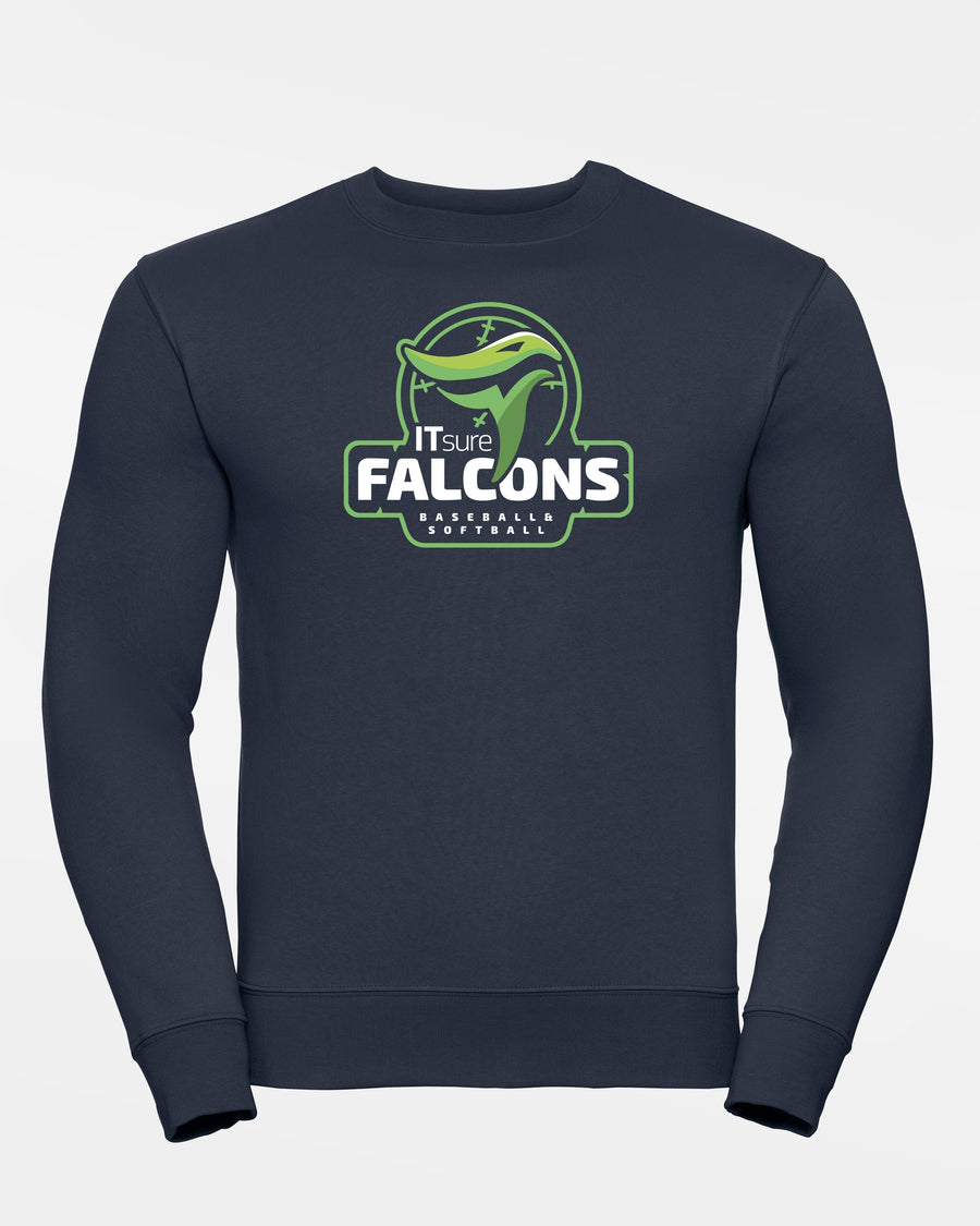 Russell Premium Heavy Sweater "IT SURE FALCONS", navy blau-DIAMOND PRIDE