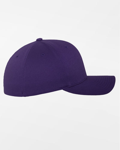 Yupoong Flexfit Combed Wool Cap, purple-DIAMOND PRIDE