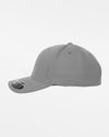 Yupoong Flexfit Strapback 110 Cap, grau-DIAMOND PRIDE